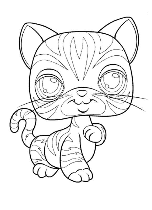 coloriage pet sho chat raye